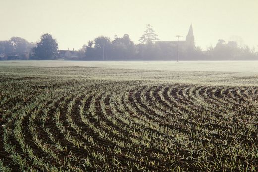 Országszerte több mint egymillió hektár mezőgazdasági területet érintett az idei aszály