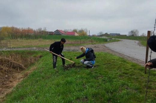Több mint száz darab fát ültettek el Kaplonyban