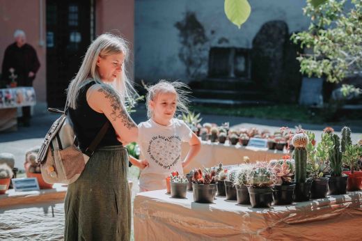 Pénteken nyílik az idei szatmári kaktuszkiállítás