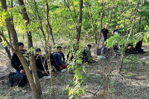 A csanálosi erdőben bujkáló 12 fős, marcona migránscsoportra csaptak le a határrendészek