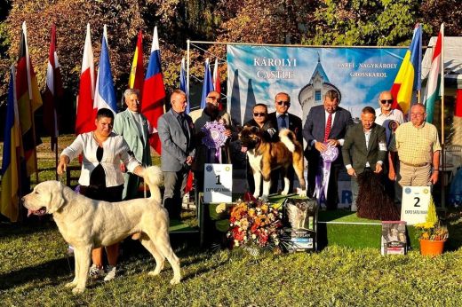 Impozáns környezetben vonulhattak fel a legszebb kutyák Nagykárolyban. Mutatjuk ki vihette haza a Best is Show címet! - KÉPGALÉRIA, VIDEÓ