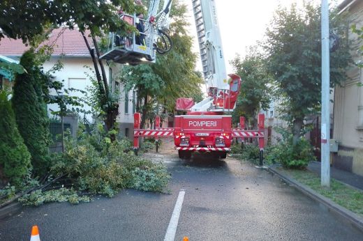 Ismét fákat döntött ki a viharos erejű szél Szatmárnémetiben