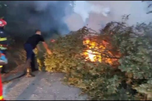 Fának csapódott, majd kigyulladt egy kocsi Szatmár megyében - VIDEÓ