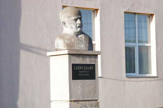 Egri híres szülöttére, Csűry Bálintra emlékeznek meg vasárnap. Szili Katalin is a meghívottak között szerepel