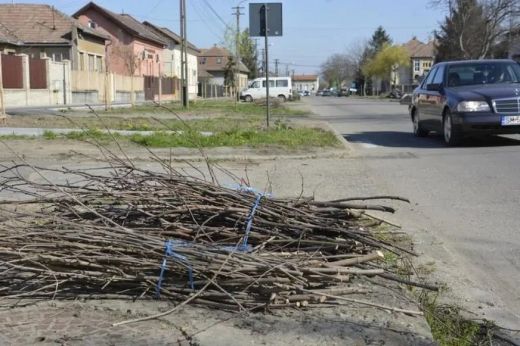 Megvan, mikor viszik el Nagykárolyban az őszi munkákból származó kerti növényi hulladékot