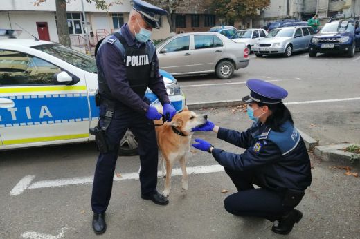 Több mint 78 ezer lej értékben szabott ki bírságokat az állatvédelmi rendőrség