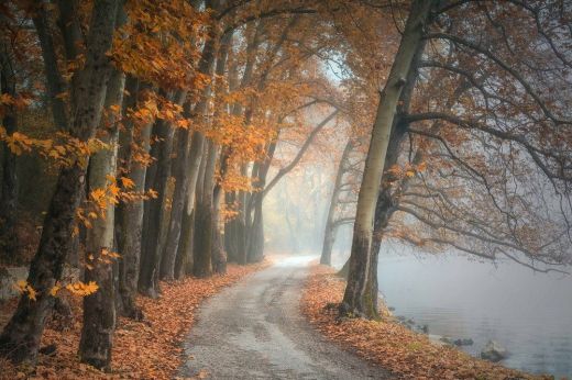 Meleg marad az idő a hét elején, november első napjaiban azonban lehűlés várható
