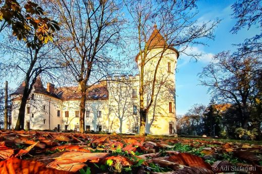 Megújul a Károlyi-kastélyhoz tartozó dendrológiai park arculata
