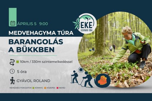 A Bükkbe hív az EKE - A medvehagyma túrára várják az érdeklődőket