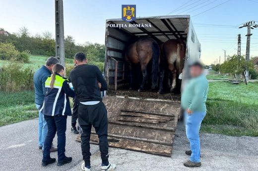 Lovak közé csapott a Szatmár megyei rendőrség