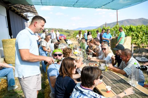 Picnic in the Vineyard: Irány Halmi!