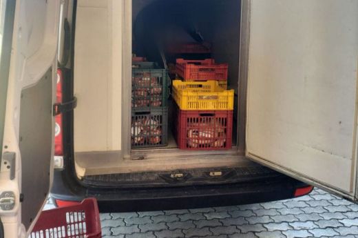 Friss információk: több mint 12 tonna húst foglaltak le a szerdai házkutatások nyomán