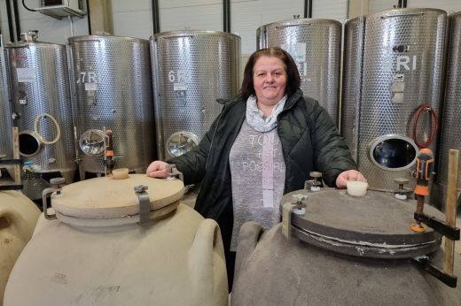 Mesterségem címere: A borász