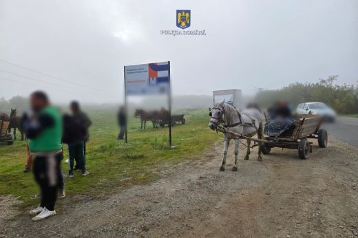 Széleskörű razzia Aranyosmeggyesen: több mint 70 bírság állattartóknak és autósoknak