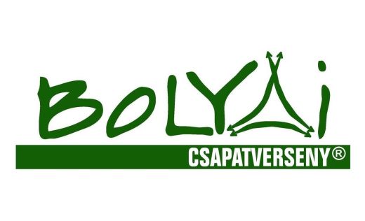 Bolyai Matematika Csapatverseny. Megvan melyik két szatmári csapat jutott be az országos döntőbe