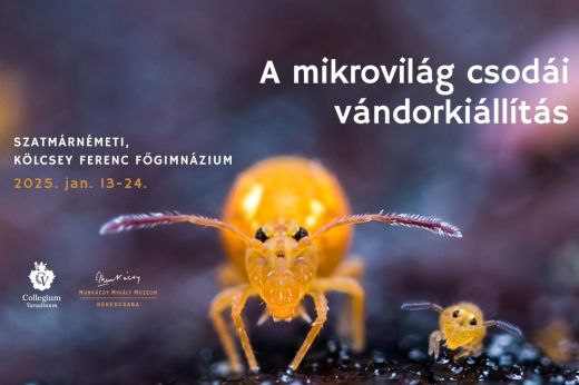 Emlékeztető! A Mikrovilág csodái - vándorkiállítás a Kölcseyben