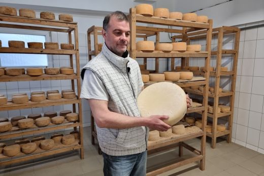 Mesterségem címere: A sajtmester