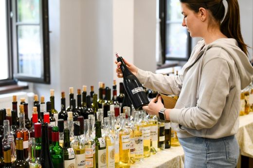 Megyei borversenyre hívják Szatmár megye szőlészeit és borászait!