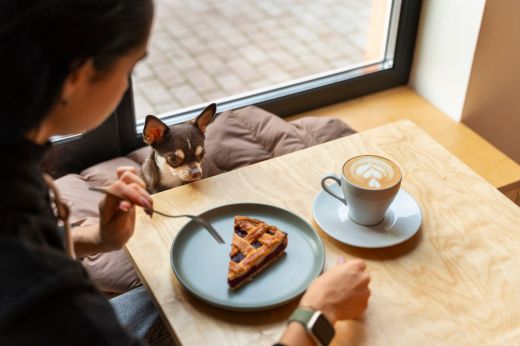 Napi horoszkóp: Bika - A lelki békéd több, mint irigylésre méltó