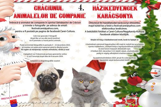 Idén is meghirdetik a Házikedvencek karácsonya című online versenyt!