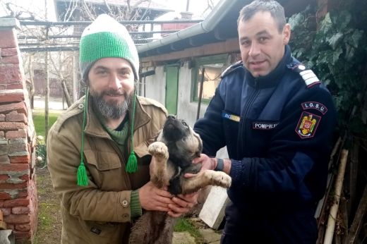 Minden élet számít: kiskutyákat mentettek a nagykárolyi tűzoltók