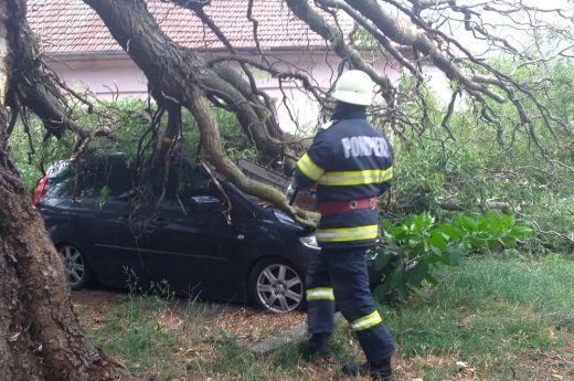 Autókra dőlt a fa Nagykárolyban - VIDEÓ