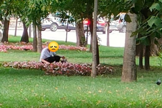 Három szatyor virágot lopott el egy parkból egy craiovai nő