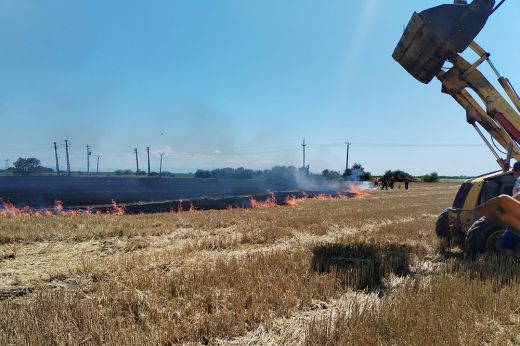 A tűzoltóság gyors beavatkozása akadályozta meg a tűz továbbterjedését Batizon