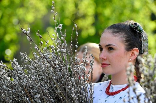 A virágvasárnapon megszentelt barkához több hiedelem fűződik