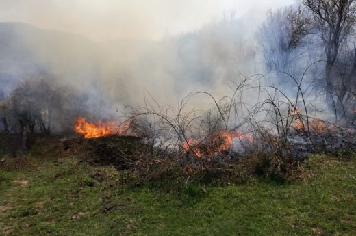 Lángoló növényzet miatt akadozott a forgalom Nagykároly és Kismajtény között