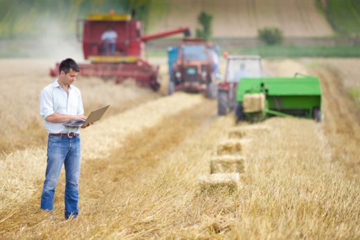 70 ezer euró vissza nem térítendő támogatás fiatal gazdáknak
