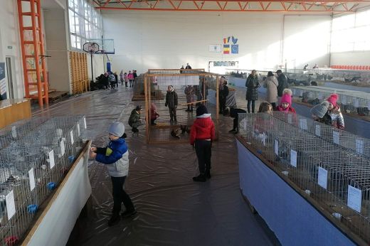 Ezen a hétvégén tartják a 2024-es Szatmár megyei Kisállat-kiállítást