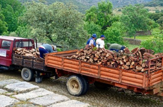 Négy év alatt közel 70 emberéletet követeltek az erdészeti ágazatban történt munkabalesetek