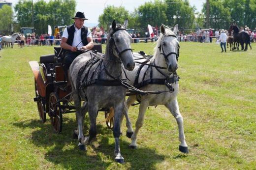Második alkalommal szervezik meg a Nagymadarászi Gazdafesztivált