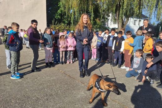 Zeus és Ash volt a nap sztárja: gyerekek között ünnepelt a két négylábú kopó