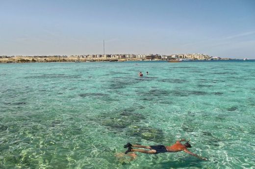Cápa ölt meg egy romániai turistanőt Egyiptom partjainál
