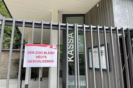 Családi tragédiát okozott egy gondozóira támadó orrszarvú Ausztriában