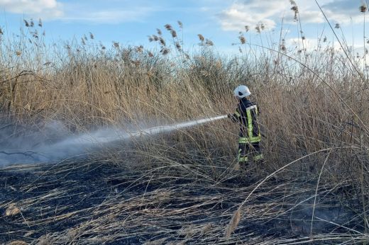 Hektárnyi területet perzselt fel a tűz Reszegén – Helyszíni képek