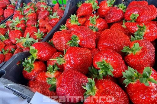 Huszonkettedik alkalommal rendezik meg idén a Halmi Eperfesztivált. Mutatjuk mikor!