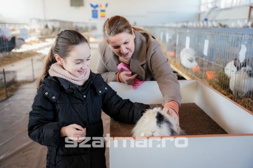 Színes és izgalmas kisállat-kiállítás Szatmárnémetiben - Képgaléria