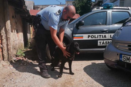 Több ezer lejre bírságolták az oláhcsaholyi nőt, aki kidobta kutyáját