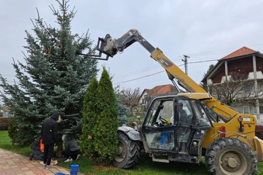Kaplony. Készülnek a Karácsonyra