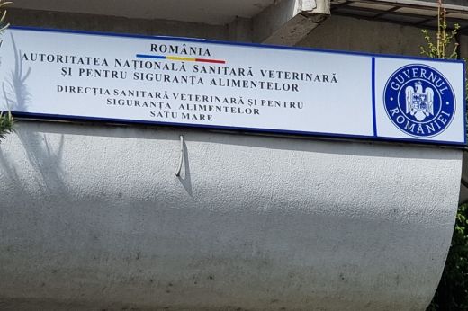 Mint a cukorkát úgy osztogatták a pénzbüntetéseket a DSVSA felügyelői