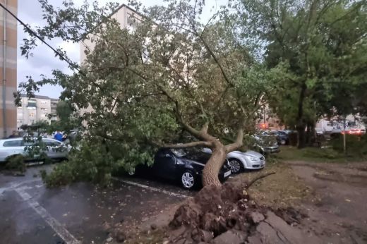Viharok által pusztított közterületek: Ki felel az itt történt anyagi károkért, személyi sérülésekért?