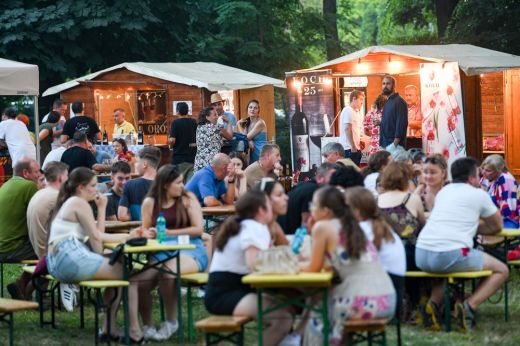 Bor a kastélyban: július 27-28-án Nagykárolyban