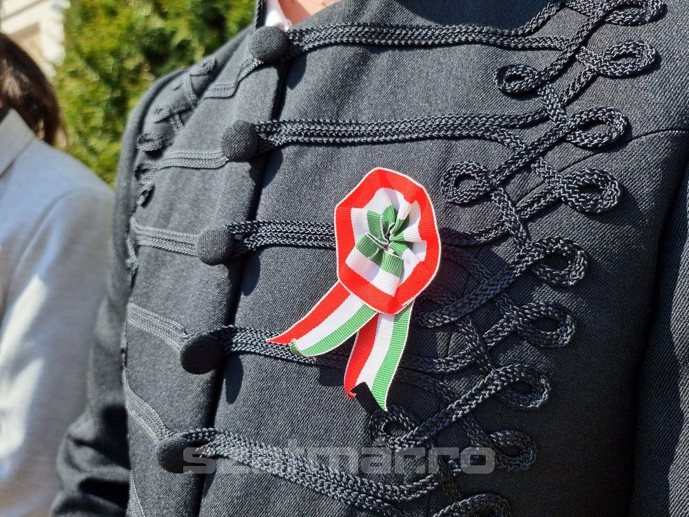 Hám János Líceum -március 15. 2024