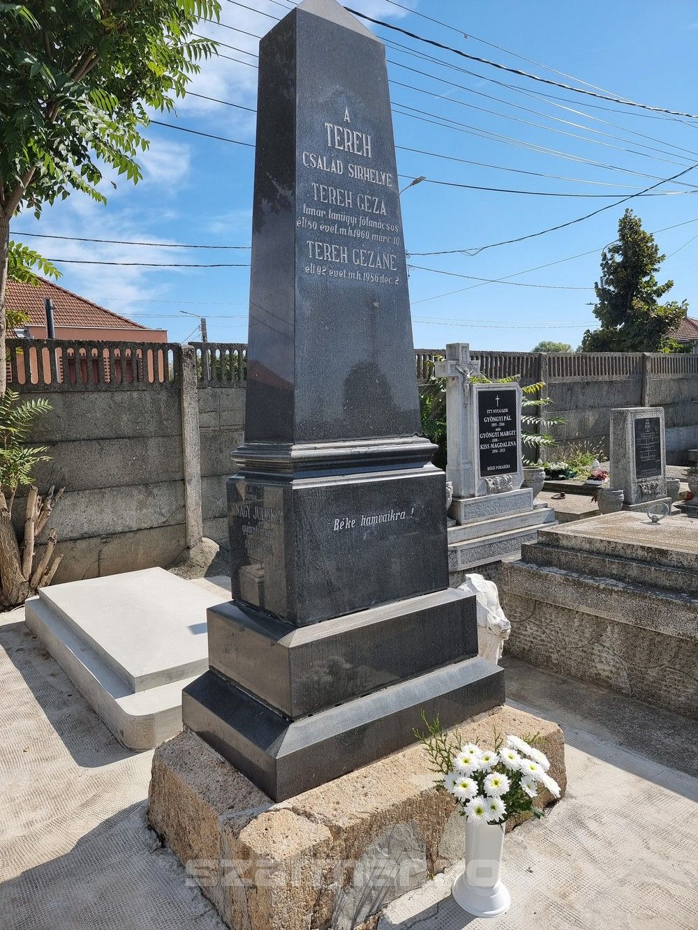 Tereh Gézára emlékeztek